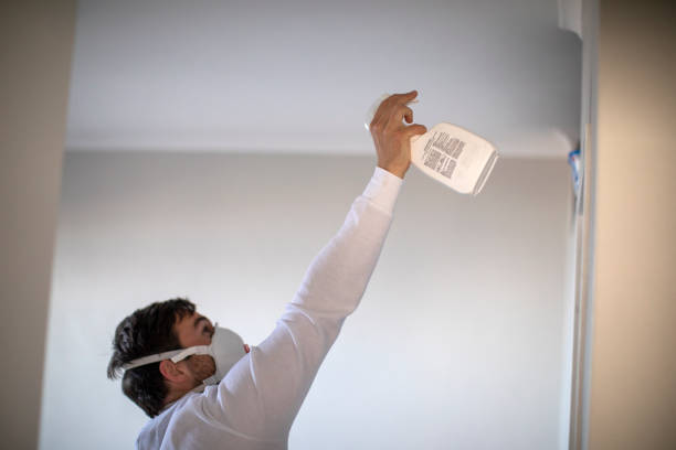 Best Certified Mold Removal  in Dilworthtown, PA
