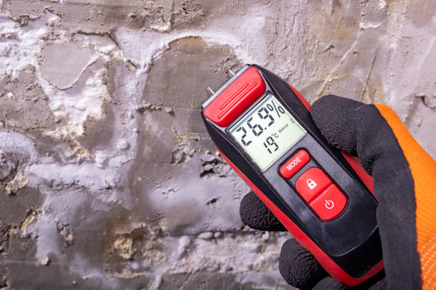 Best Commercial Mold Removal  in Dilworthtown, PA